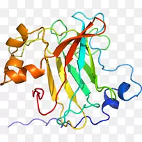 线点生物剪贴画线-空若网 线点生物剪贴画线-空若网