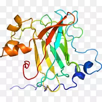 ������Ϊ�л����ߵ��������-������