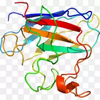线点生物剪贴画线-空若网 线点生物剪贴画线-空若网