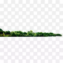 大运会站麦草深圳字林-空若网 大运会站麦草深圳字林-空若网