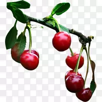 �������ӣ�ҹ�-������