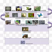 动物字体-空若网 动物字体-空若网
