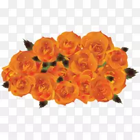 ��԰õ���ɫ���������-��ɫ-������