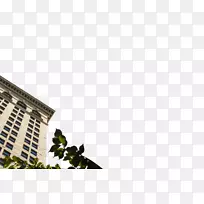 南方管理公司资产管理-SMC公司-空若网 南方管理公司资产管理-SMC公司-空若网