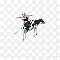 ţ�������ʦ-��ţ�������-������