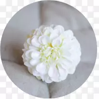 花瓣切花电子邮件剪枝花-空若网 花瓣切花电子邮件剪枝花-空若网