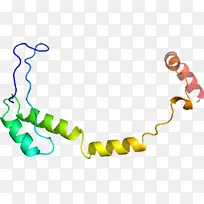 人体首饰有机体线剪贴画线-空若网 人体首饰有机体线剪贴画线-空若网