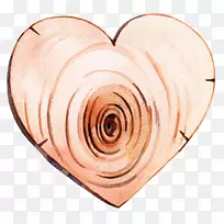 木纹-爱好木材-空若网 木纹-爱好木材-空若网