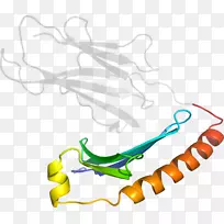 人体珠宝有机体剪贴画设计-空若网 人体珠宝有机体剪贴画设计-空若网
