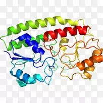人体首饰有机体线剪贴画线-空若网 人体首饰有机体线剪贴画线-空若网
