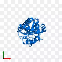 �̱��������-������