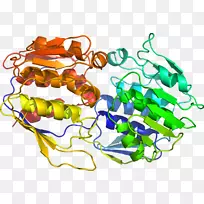 ���������л����߼�������-������