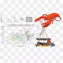 扇贝昆虫龙虾-空若网 扇贝昆虫龙虾-空若网