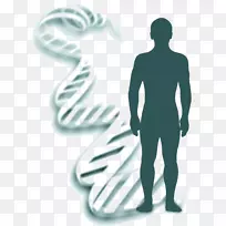 遗传学、法医学鉴定、DNA科学-空若网 遗传学、法医学鉴定、DNA科学-空若网