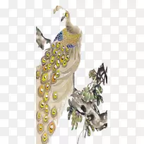 下载图标-孔雀-空若网 下载图标-孔雀-空若网