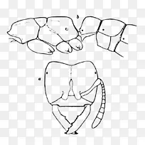 手指线艺术口腔素描-三轮车-空若网 手指线艺术口腔素描-三轮车-空若网