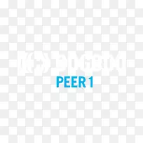 �̱��������-������