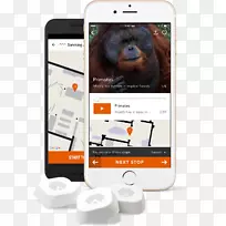 ipod多媒体电子产品-空若网 ipod多媒体电子产品-空若网