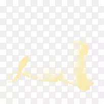 �����ֽ������յ����������-������