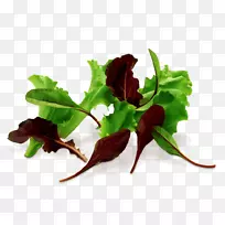 甜菜叶菜-空若网 甜菜叶菜-空若网