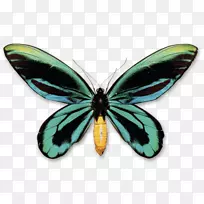 �����¼�����Ů������ɽ��������������-����ɽ����Ů�������-������