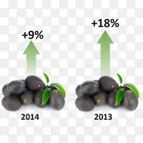 �г��ϵĳ���ʳƷˮ��-��˹����-������