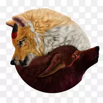 红狐狗-空若网 红狐狗-空若网