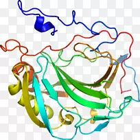 �ߵ������������-������