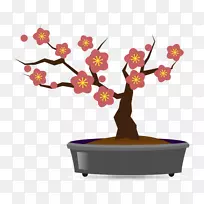 盆景梅花花盆爱好-梅树-空若网 盆景梅花花盆爱好-梅树-空若网