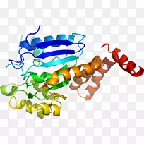 有机体线-空若网 有机体线-空若网