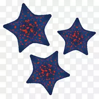 无王族海星-空若网 无王族海星-空若网