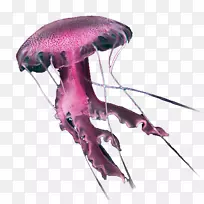 �޼�׵����-������