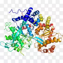 人体首饰有机体线剪贴画线-空若网 人体首饰有机体线剪贴画线-空若网