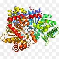 蔬菜饰品-蔬菜-空若网 蔬菜饰品-蔬菜-空若网