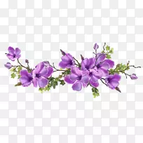 ÖÐÑ벩¿ÍÊýѧ½Ìʦ-Êýѧ-¿ÕÈôÍø ÖÐÑ벩¿ÍÊýѧ½Ìʦ-Êýѧ-¿ÕÈôÍø