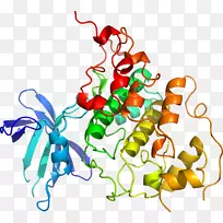 无脊椎动物食物线剪贴画线-空若网 无脊椎动物食物线剪贴画线-空若网