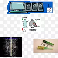 ���ݷ���matlab��ϵͳ�������������ݽṹ-������