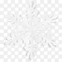 ��ɫ�Գƺ�ɫͼ��-��ѩ����-������