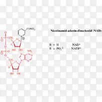 线文件点设计-空若网 线文件点设计-空若网