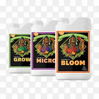 营养膳食补充剂水培植物营养肥料-橡子生长澳大利亚-空若网 营养膳食补充剂水培植物营养肥料-橡子生长澳大利亚-空若网