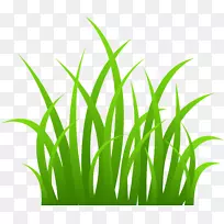 青草剪贴画-草PNG形象绿草PNG图片-空若网 青草剪贴画-草PNG形象绿草PNG图片-空若网