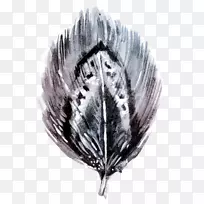 �ڰ�ˮ�ʻ���ë�ֻ���ë-������