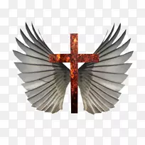 ���ŷ���-������