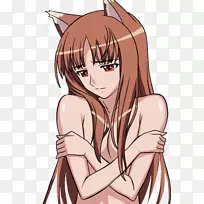 高清电视桌面壁纸1080 p智能电视Telefunken 49dtu641显示分辨率-香料与狼卷17-空若网 高清电视桌面壁纸1080 p智能电视Telefunken 49dtu641显示分辨率-香料与狼卷17-空若网