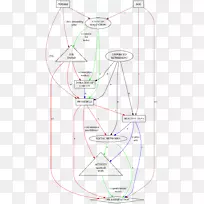 ���ߵ����-������