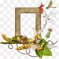 花卉设计画框叶开花植物叶-空若网 花卉设计画框叶开花植物叶-空若网