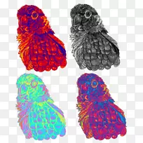 喙羽鞋字体-羽毛-空若网 喙羽鞋字体-羽毛-空若网