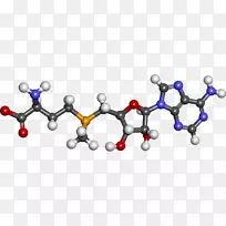 膳食补充剂s-腺苷甲硫氨酸健康半胱氨酸健康-空若网 膳食补充剂s-腺苷甲硫氨酸健康半胱氨酸健康-空若网