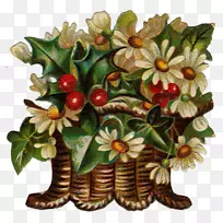 花卉设计花盆开花植物果实设计-空若网 花卉设计花盆开花植物果实设计-空若网