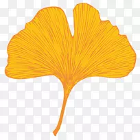 厨房27号菜花瓣林克文泽乐餐厅-叶-空若网 厨房27号菜花瓣林克文泽乐餐厅-叶-空若网